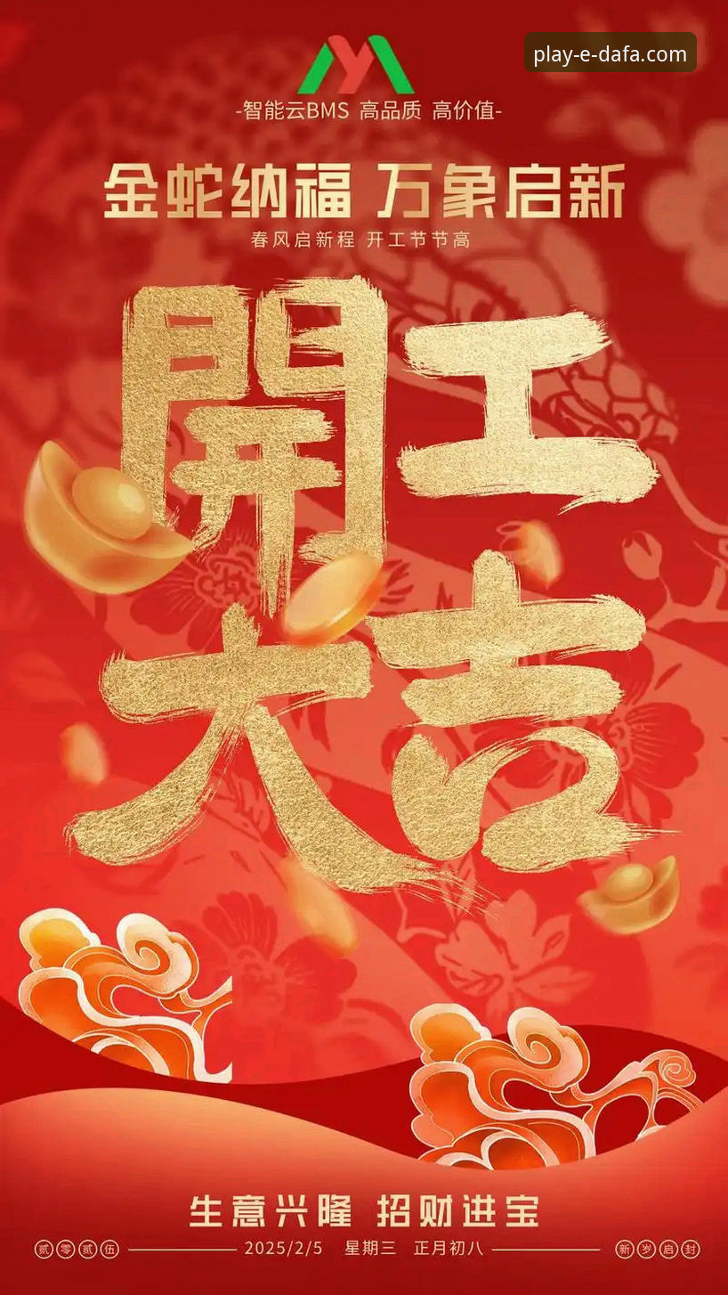 资深用户分享：2026大发官网手机版使用心得与实战经验