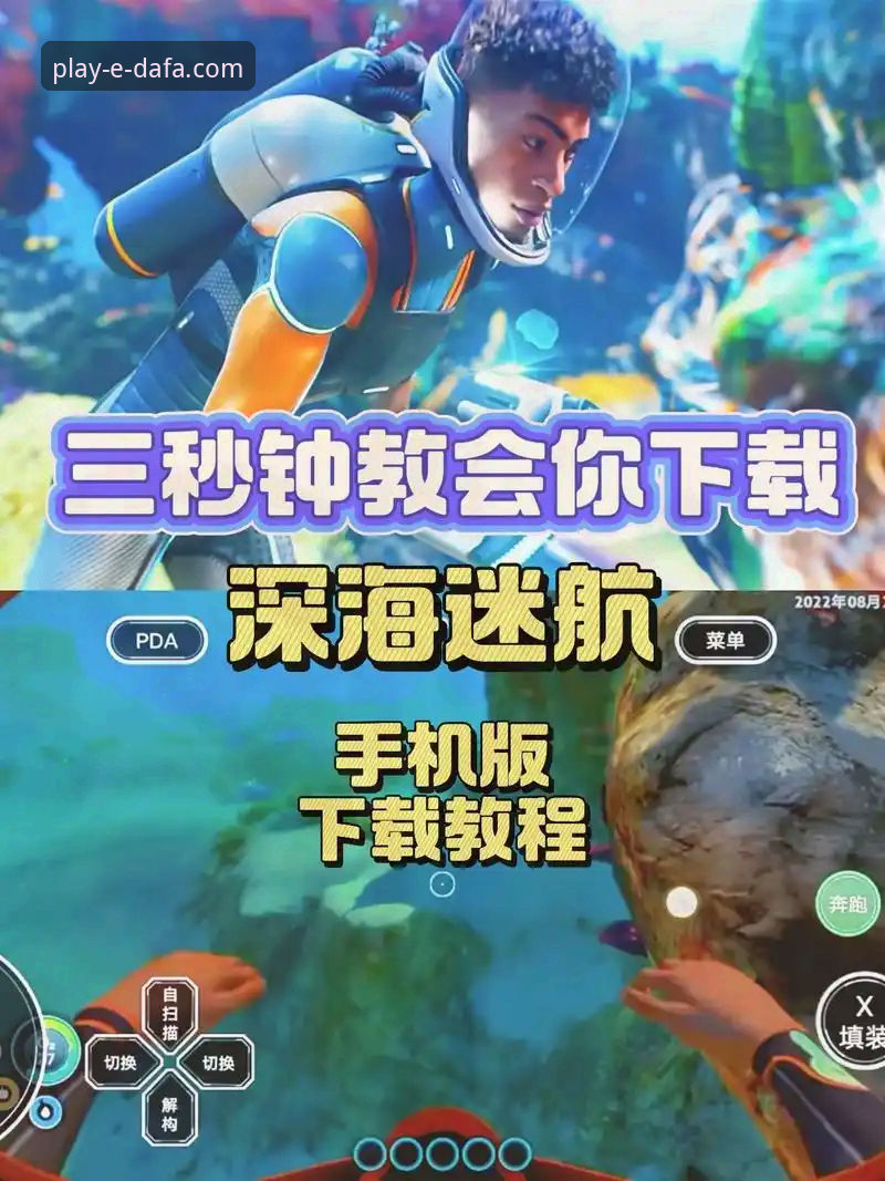 大发娱乐平台手机版使用教程：从下载到安全验证的完整操作指南